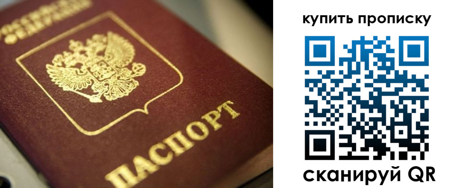 прописка поиск в Ельне