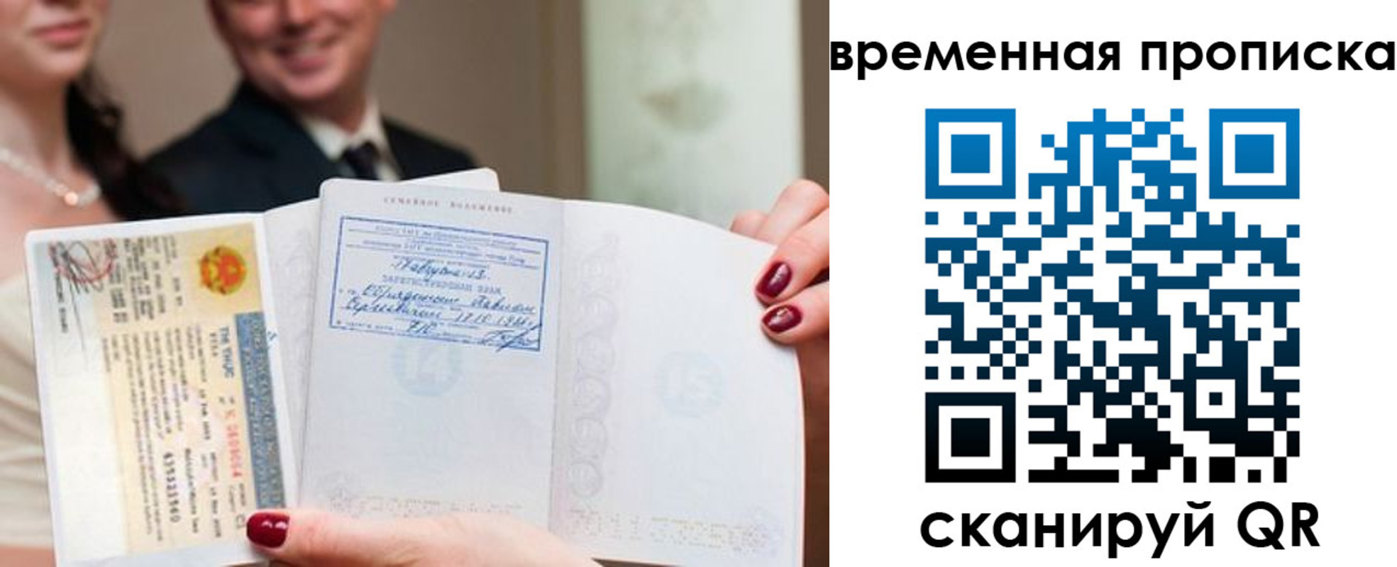 прописка поиск в Ельне